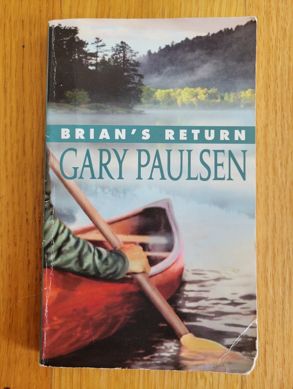 Brian's Return by Gary Paulsen - Paperback Book